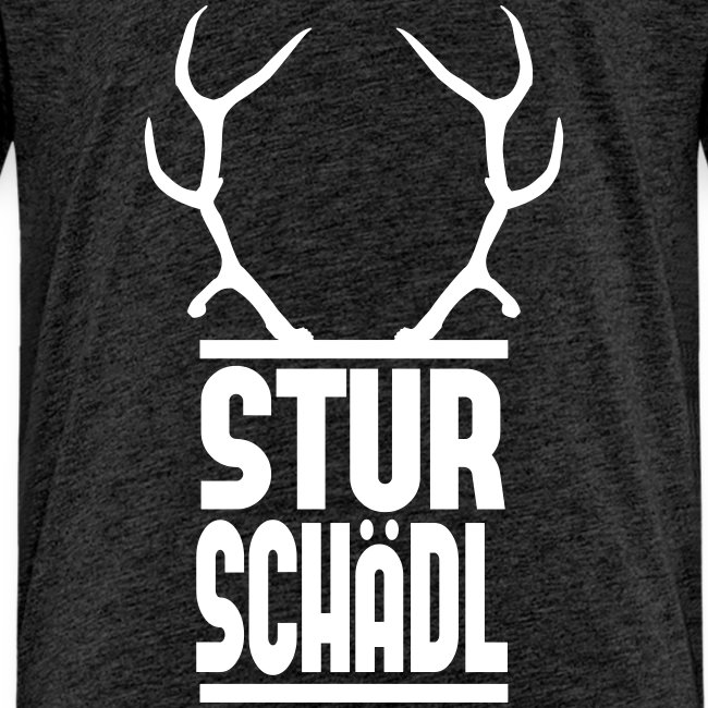 Vorschau: Sturschädl - Teenager Premium T-Shirt