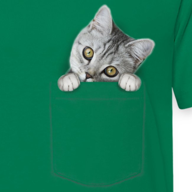cat pocket - Teenager Premium T-Shirt