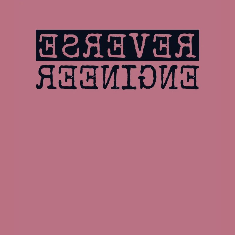 Reverse Engineer Softwareingenieur Developer