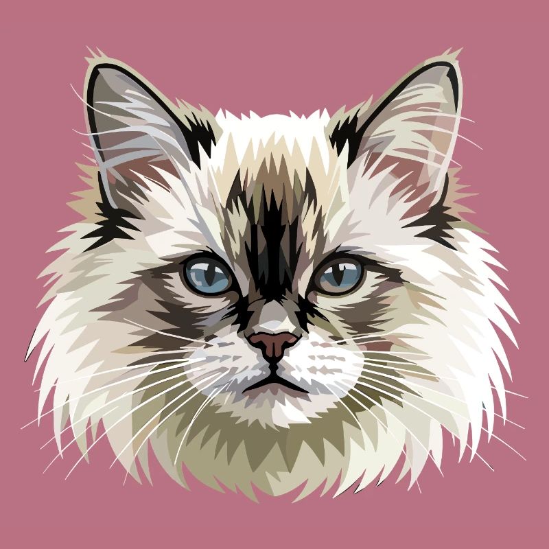 Chat Birman Chat Birman Sacré Chat Birman Mignons Chats Birman