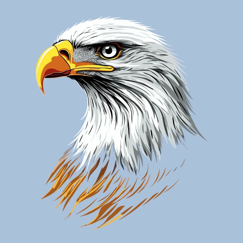 Eagle Bald Eagle Golden Eagle White-tailed Eagle