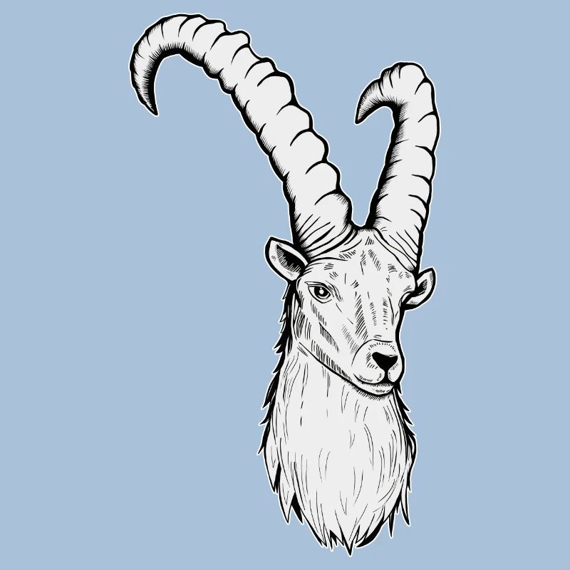 Steinbock Sternzeichen