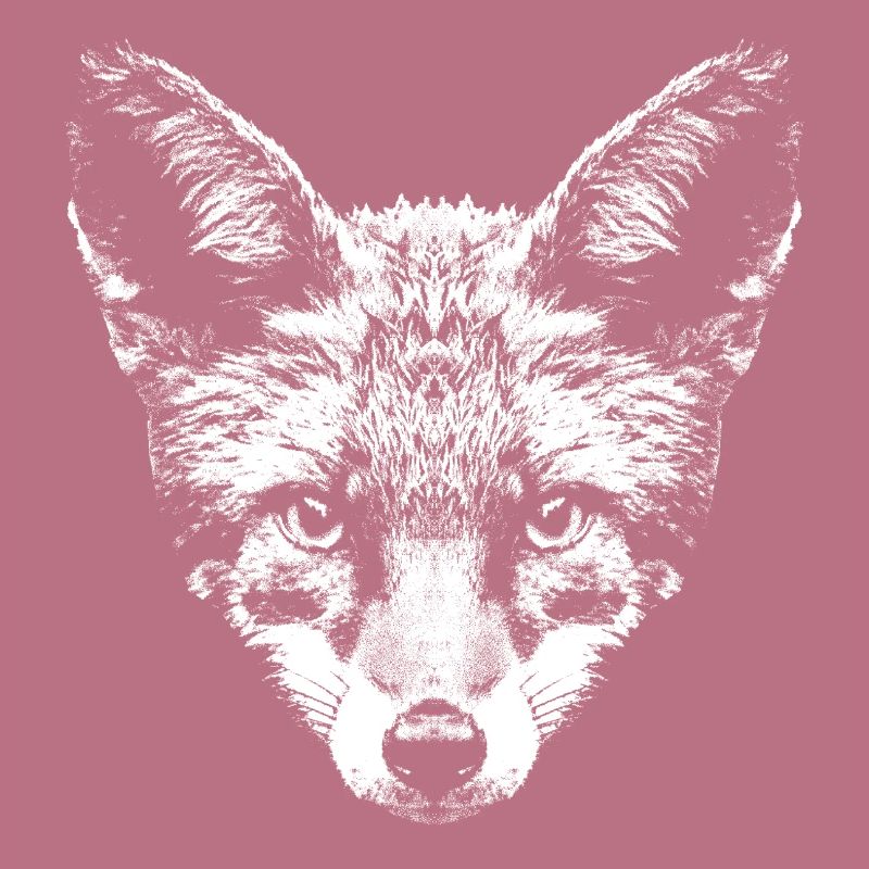 Fuchs / Fox / Kopf / Rotfuchs