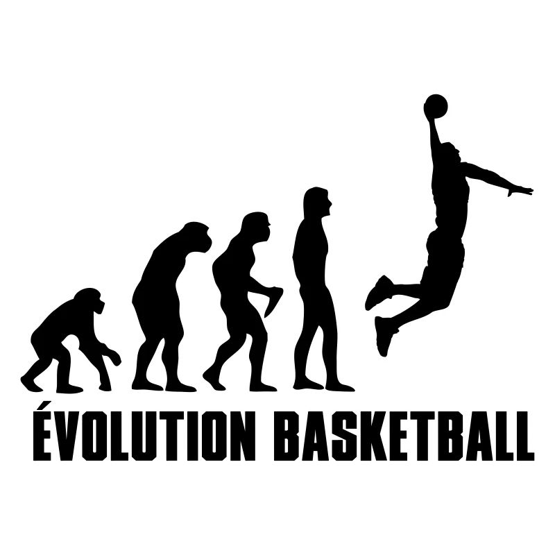 Basketball Evolution Basket