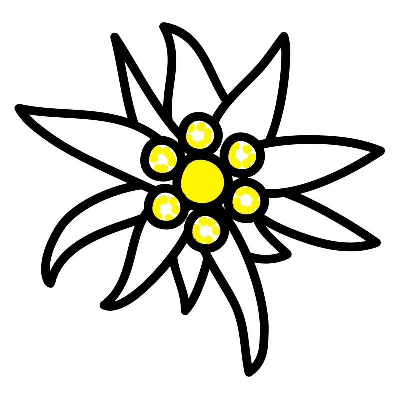 Edelweiss