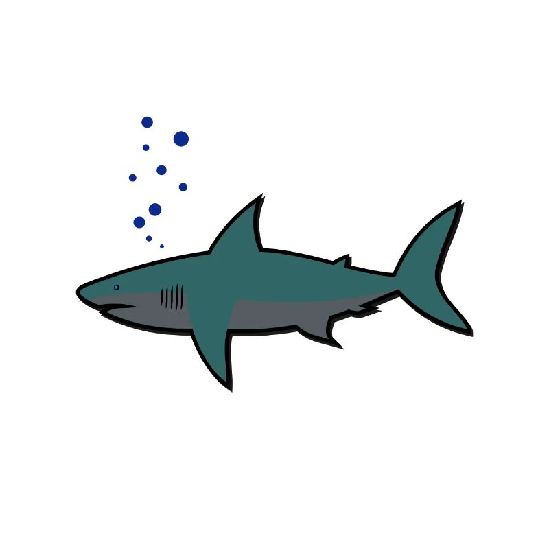 Requin, requin,