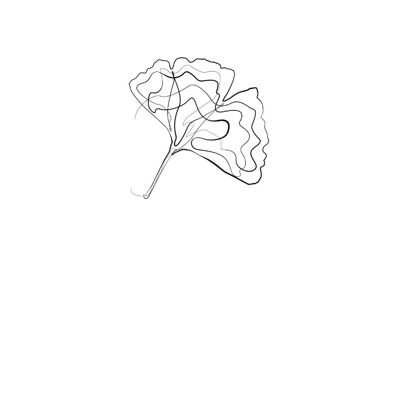 Gingko tree leaf - one line drawing