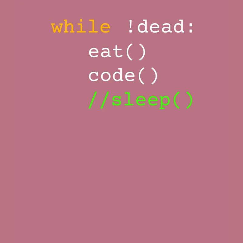 Programmierer Geschenk