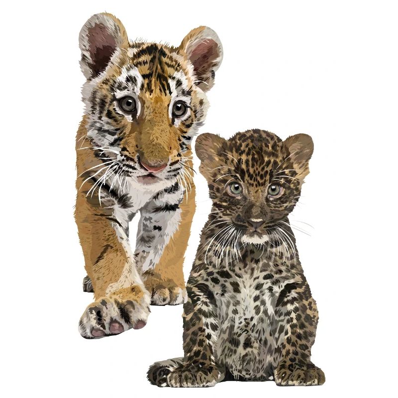 Leopard und Tiger