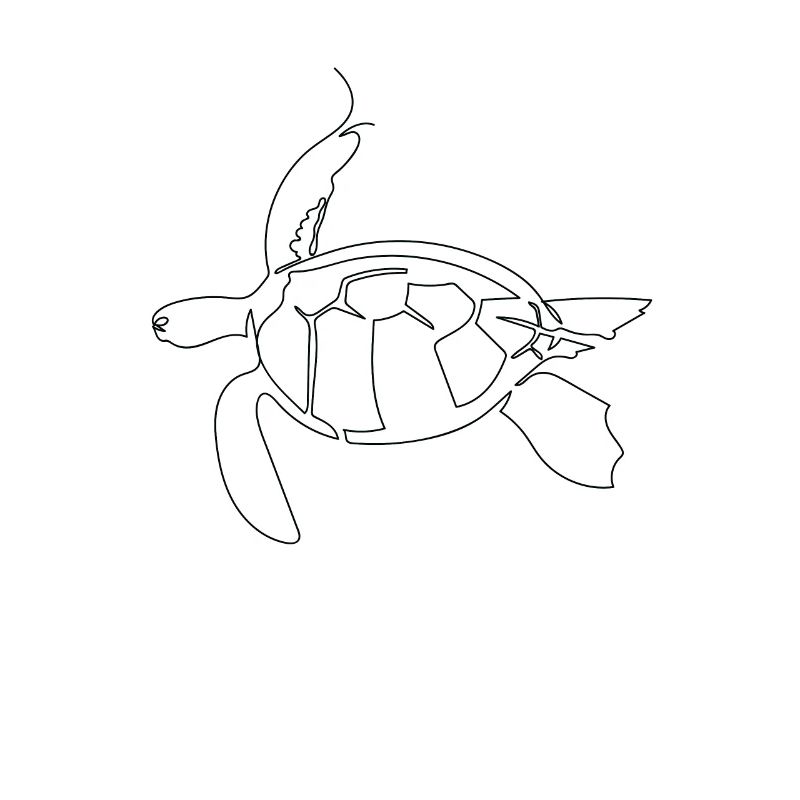 One line art drawn turtle