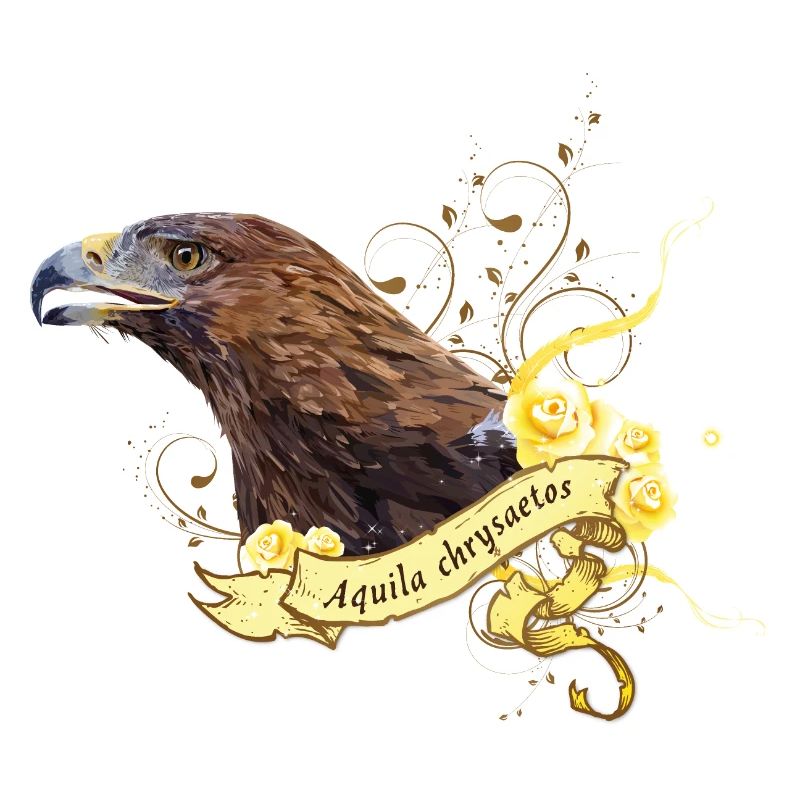 Aigle royal