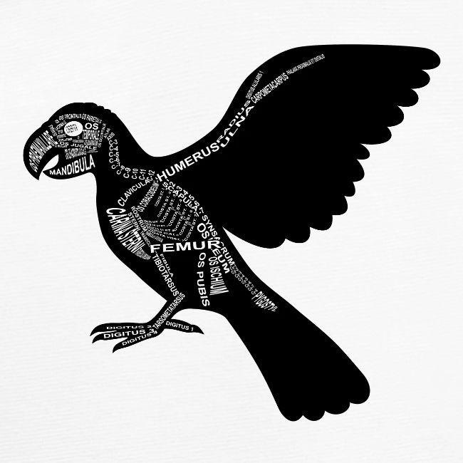 Papagei-Skelett