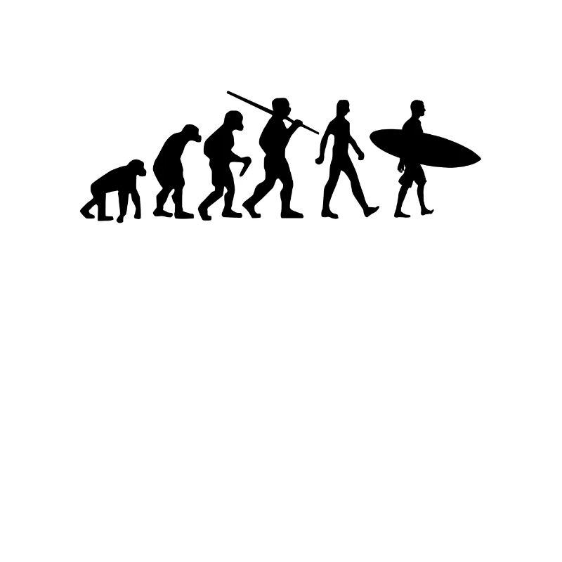 Surfer Evolution Surfing