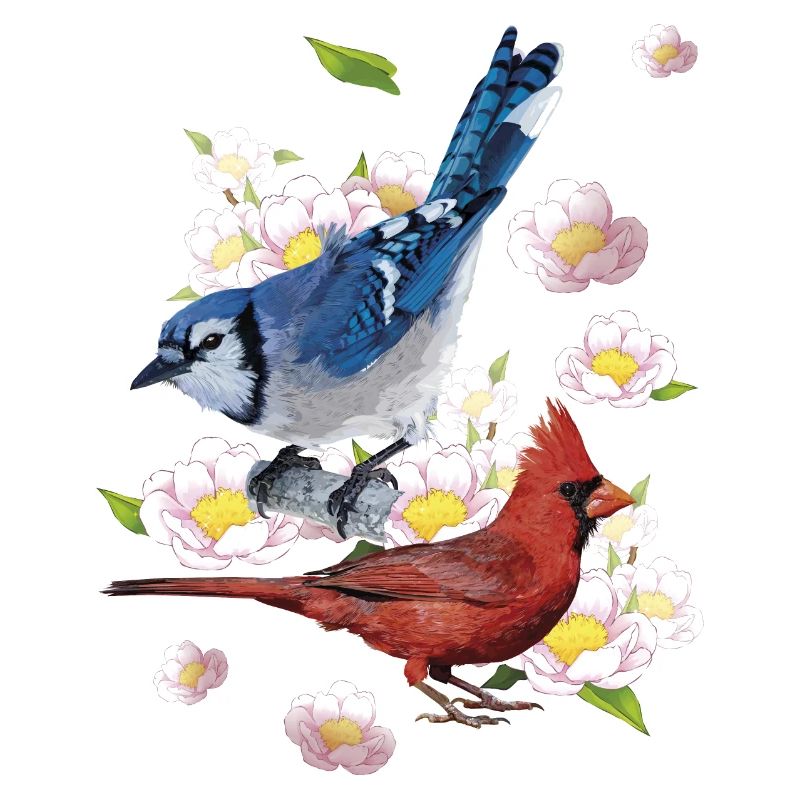Der nördliche Kardinal und der blaue Eichelhäher