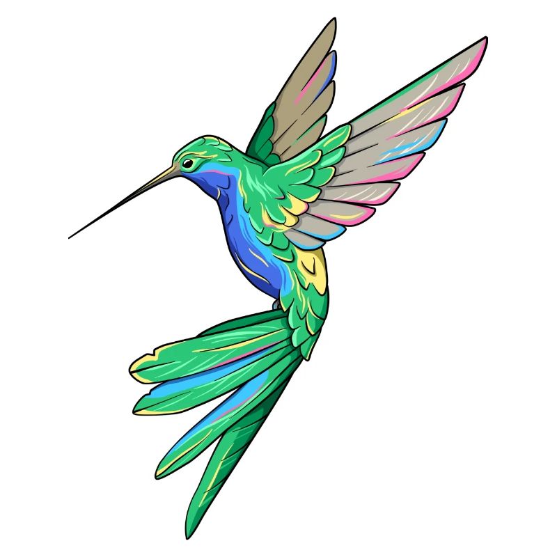 Kolibri Vogel Federn