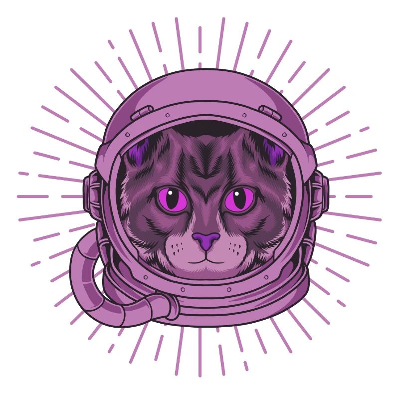 Chat de l’espace