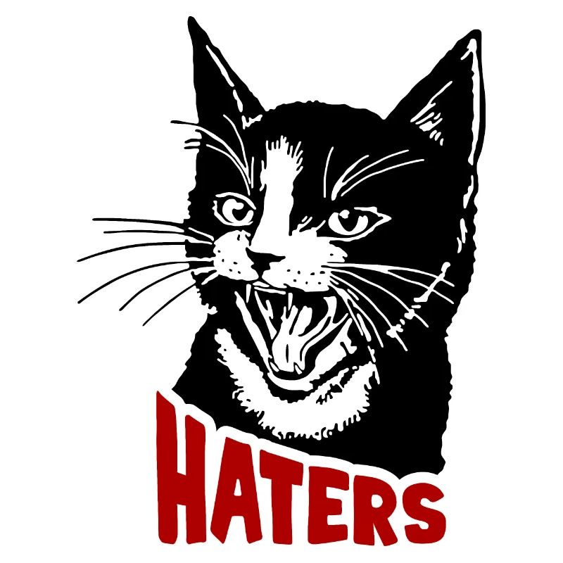 Katze und Hasser