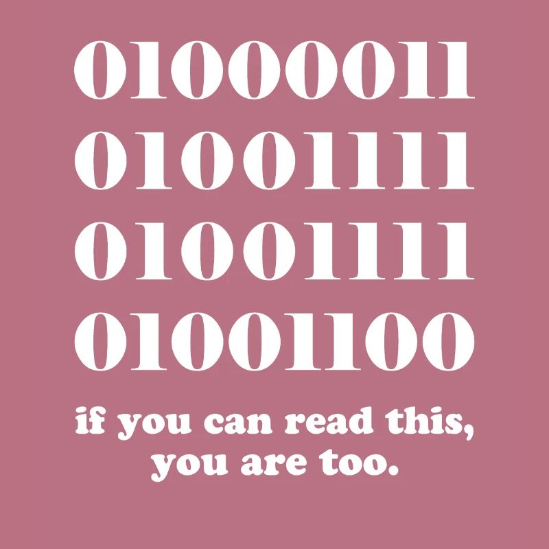 Computer binary code developers gift