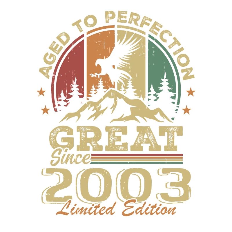 Vintage Geburtstag 2003 - Retro Geschenkidee 2003