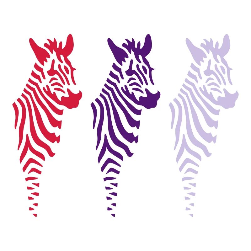 three zebras (b)