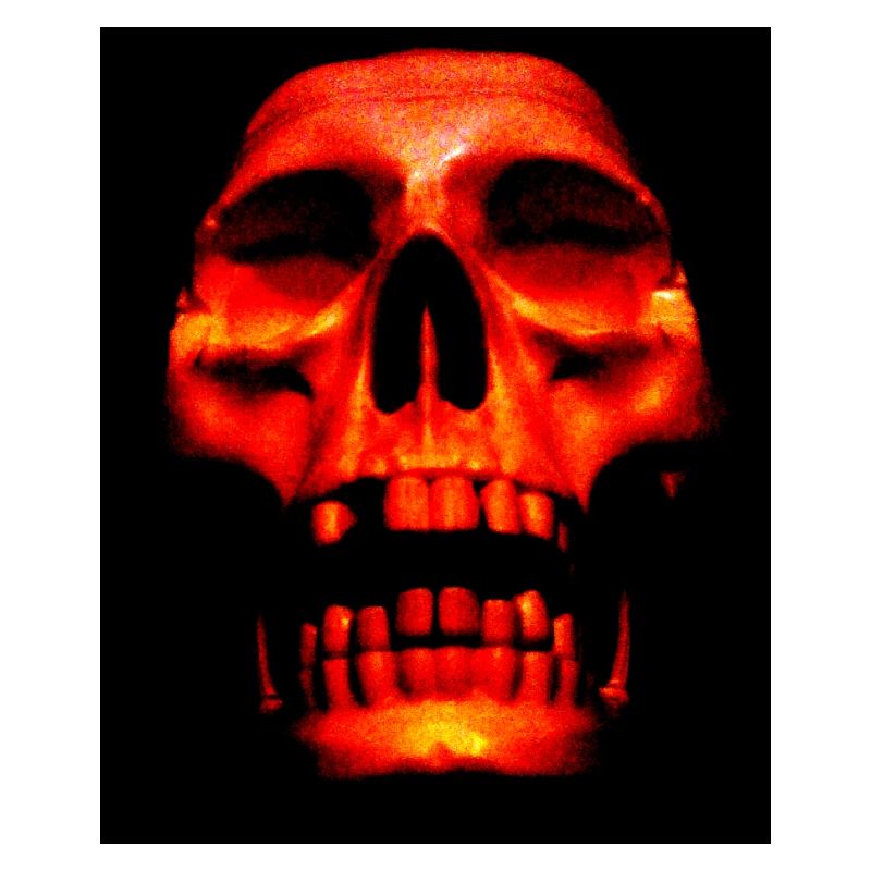 Fire Skull