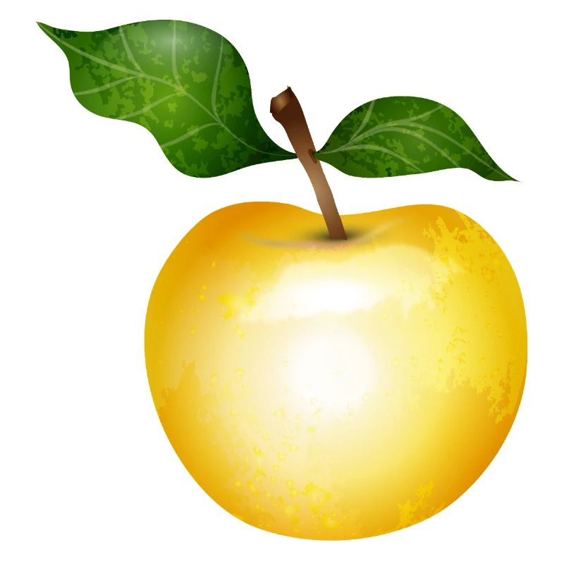 Pomme dorée avec illustration de feuilles vertes