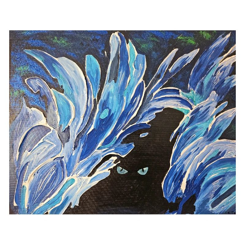 Eis Augen 
