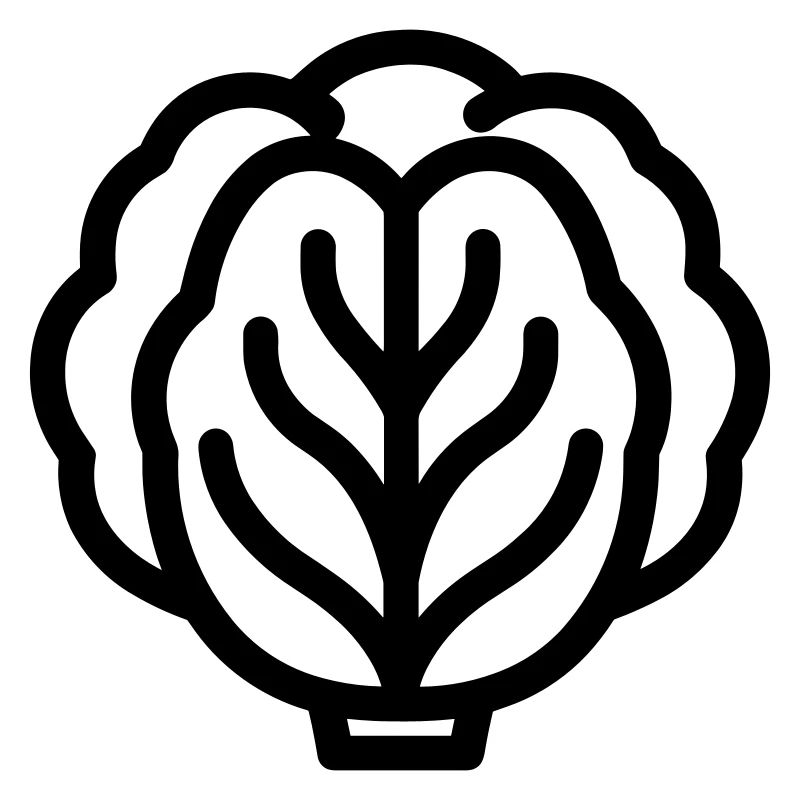 cabbage