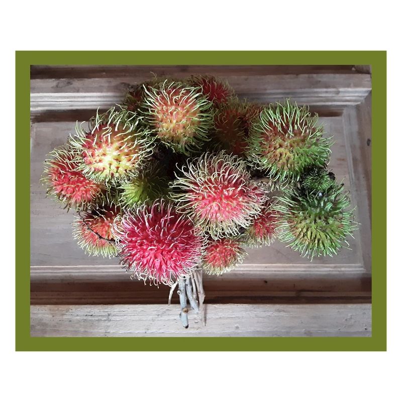 Fruit du litchi