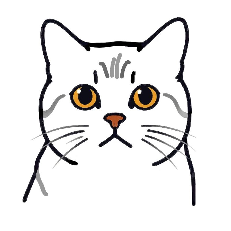 Teodoro le Chat - Tête de Chat