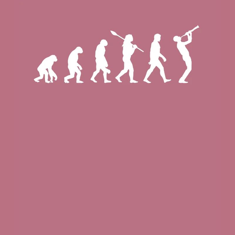 Evolution de la clarinette