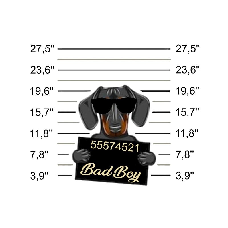 Bad Boy Dackel oder junger Dobermann - Böser Hund