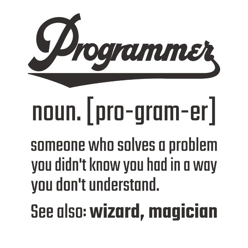 Programmer programmer noun noun definition