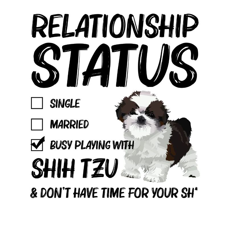 Statut de la relation occupé à jouer avec mon Shih Tzu