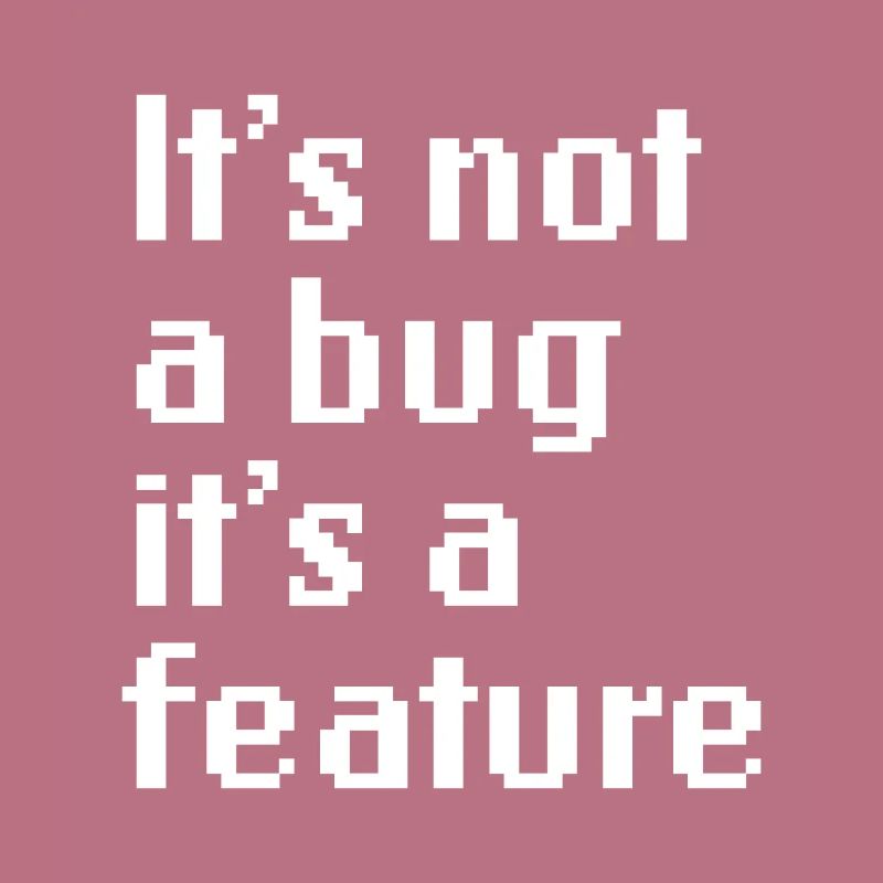 It’s Not A Bug It’s A Feature Web App Developer