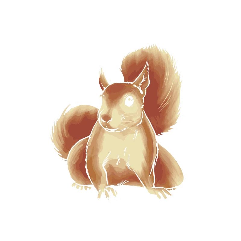 Squirrel, cute squirrel lover,