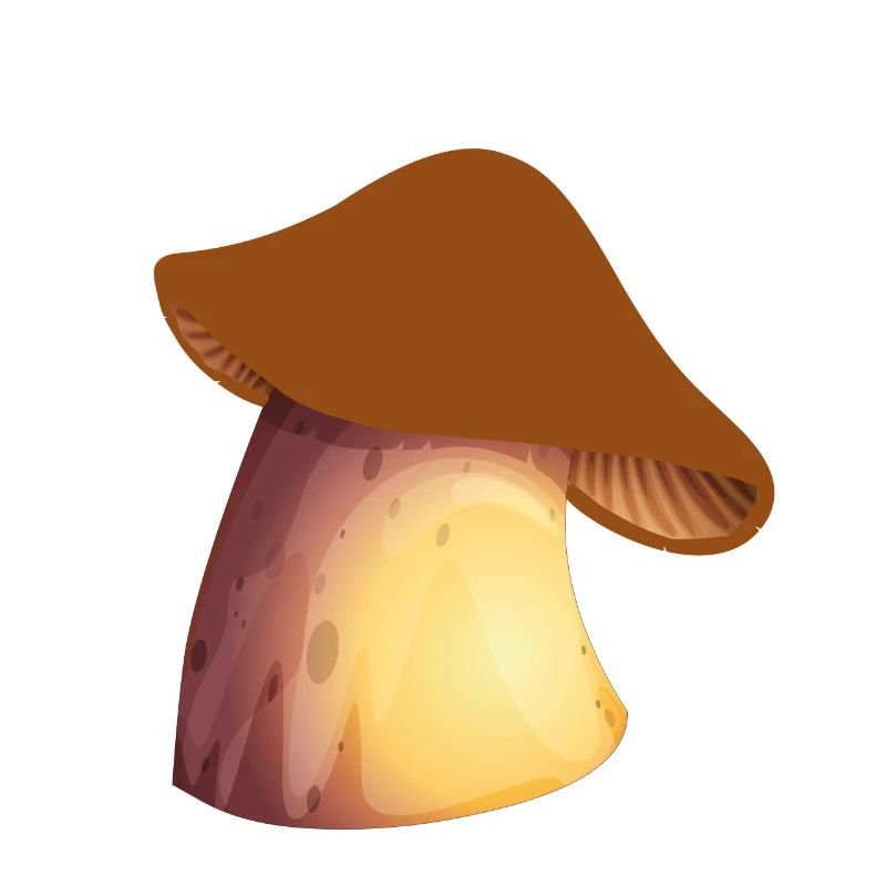 Champignons champignons champignons champignons champignons champignons