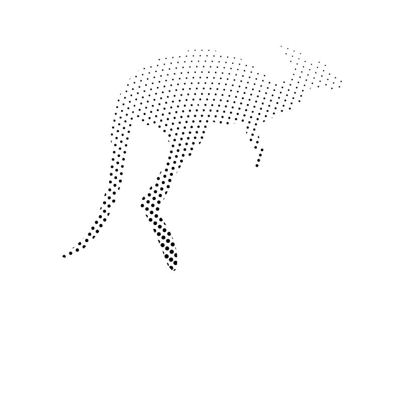 Kangaroo