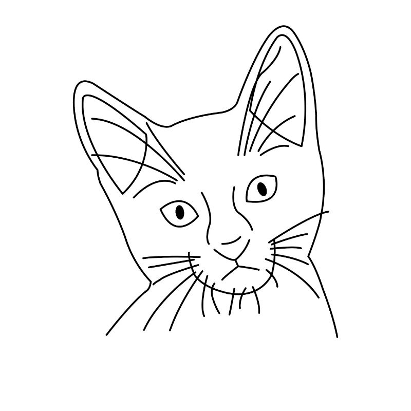 Visage de chat de chat dessiné
