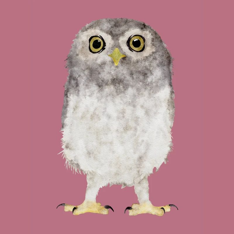 Eule