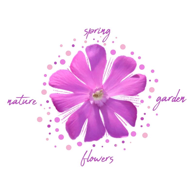 fleur rose fleurs roses
