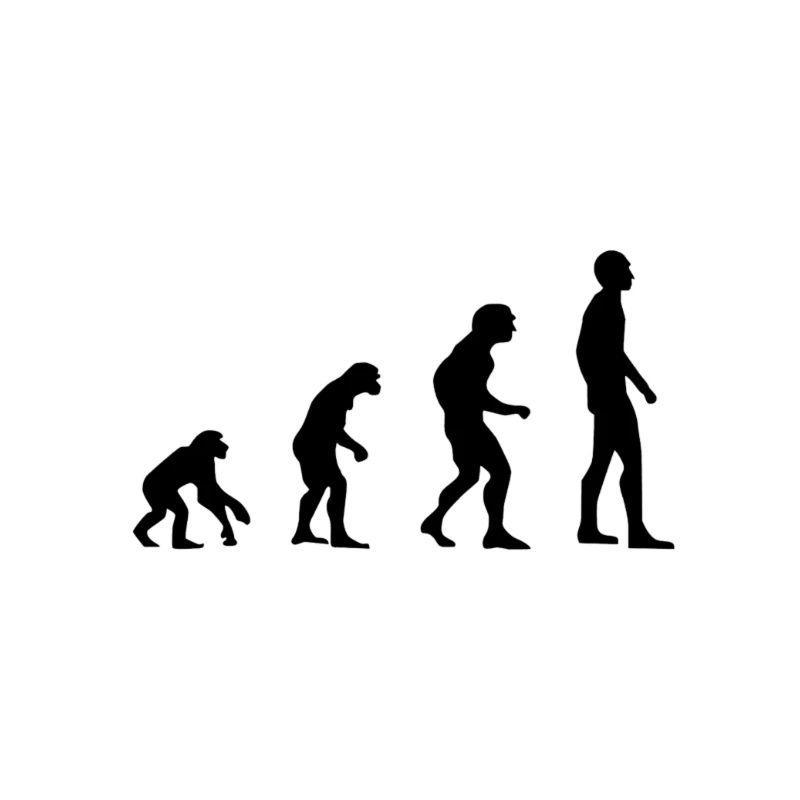 Évolution humaine