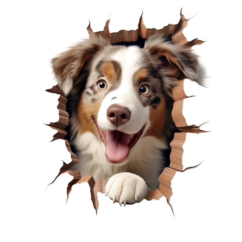 Australian Shepherd Owner - Perfect Aussie