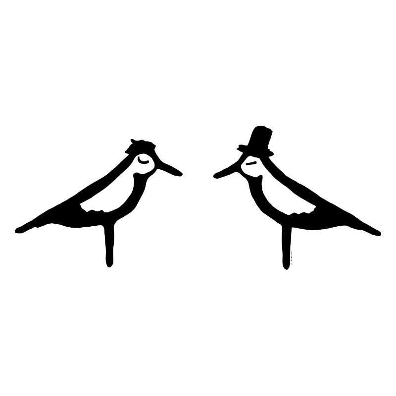 Seagulls