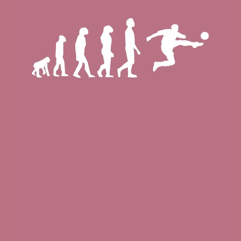 Evolution Fußball Geschenkidee