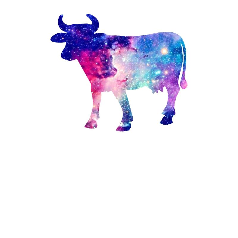 Galaxy Cow Space Gift