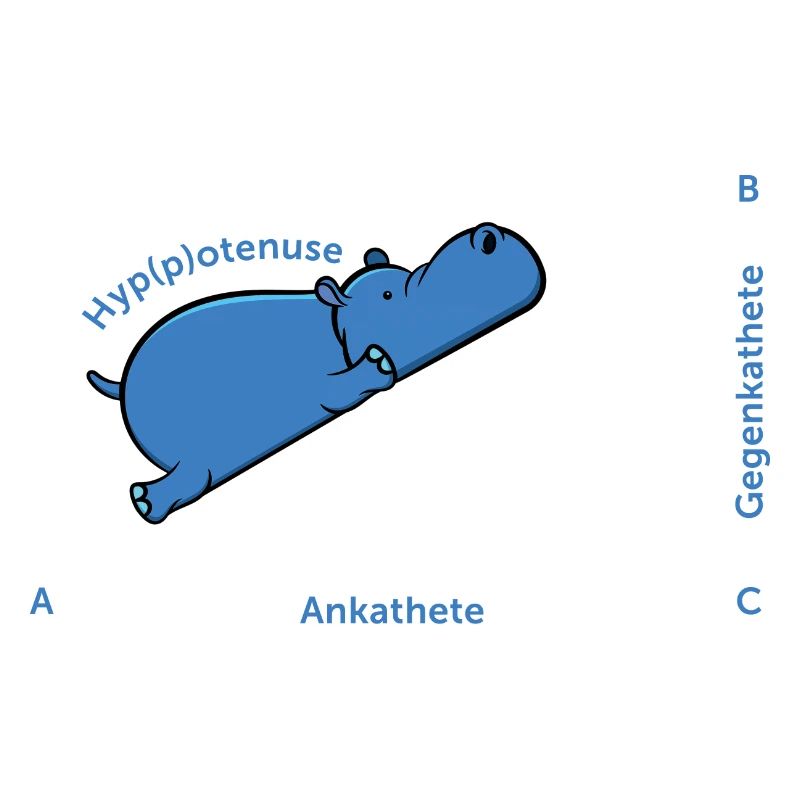 Hyppotenuse Pythagoras Math Hippo Teacher Gift