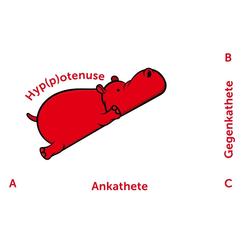 Hippotenuse Pythagoras Mathe Hippo Lehrer Geschenk