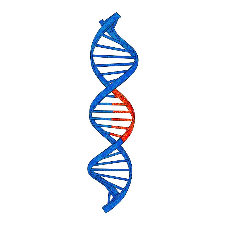 Test ADN double hélice ADN Idée cadeau pour chercheurs