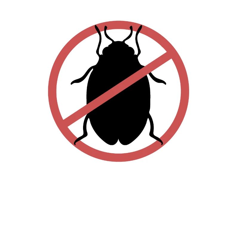 No Bed Bugs | Bed bugs banned bed bug travel